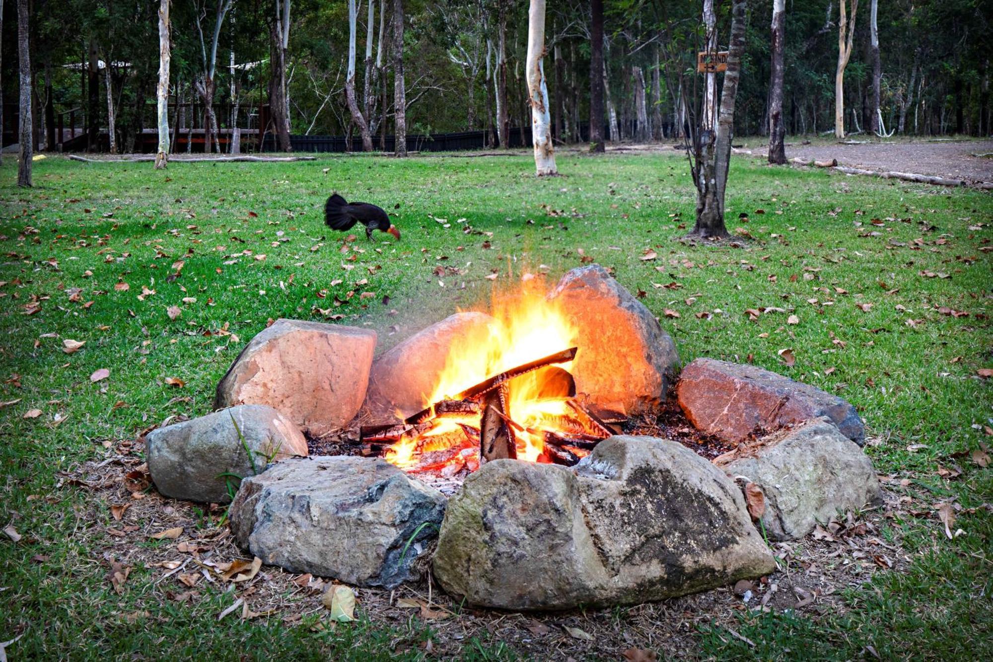 Airlie Beach Eco Cabins - Adults Only Экстерьер фото